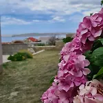 Cesar 公寓 *
